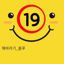 해바라기_블루