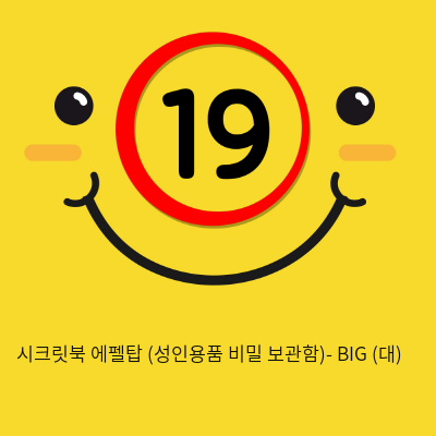 시크릿북 에펠탑 (성인용품 비밀 보관함)- BIG (대)